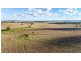 11 Karoo Lane, Walmer NSW 2820