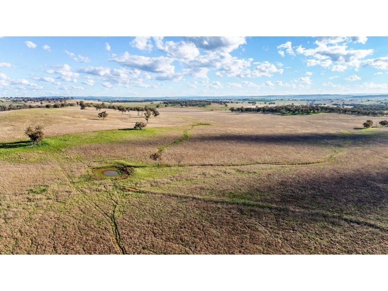 11 Karoo Lane, Walmer NSW 2820