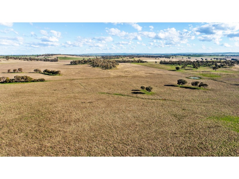 11 Karoo Lane Walmer via, Wellington NSW 2820