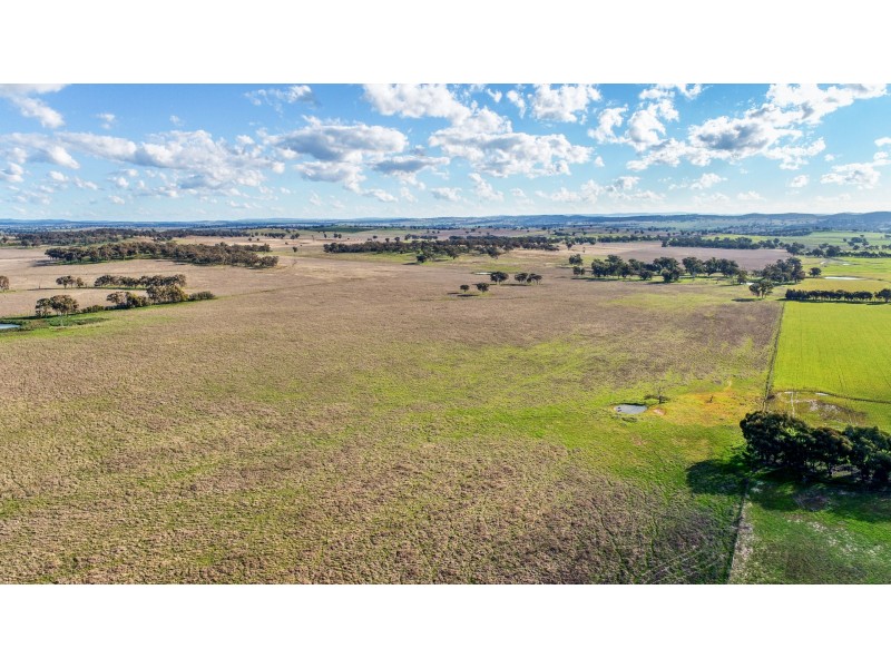 11 Karoo Lane Walmer via, Wellington NSW 2820