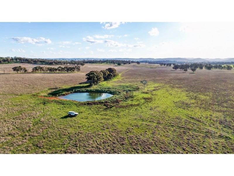 11 Karoo Lane Walmer via, Wellington NSW 2820