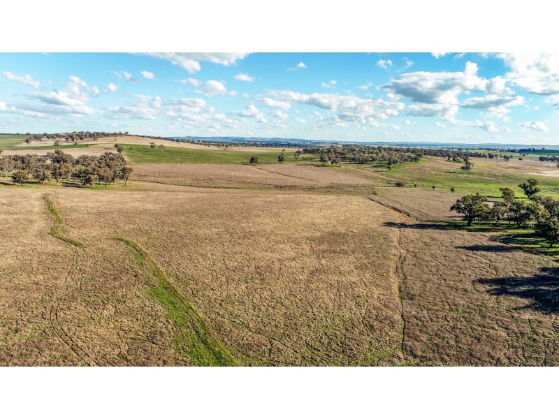 11 Karoo Lane Walmer via, Wellington NSW 2820