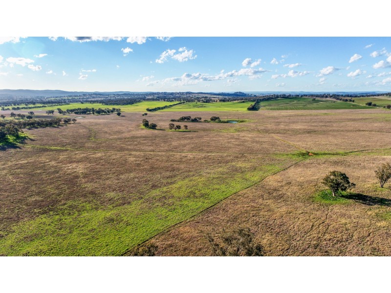 11 Karoo Lane Walmer via, Wellington NSW 2820