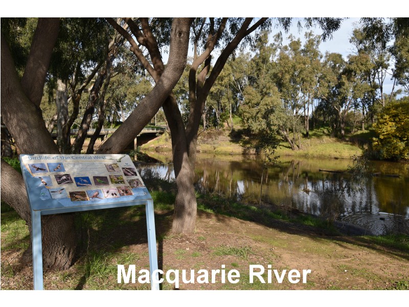 20 King Street, Montefiores NSW 2820