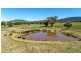678 Blathery Creek Road Neurea via, Wellington NSW 2820
