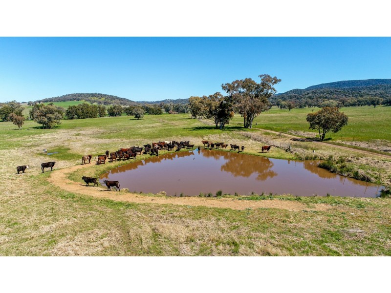 678 Blathery Creek Road Neurea via, Wellington NSW 2820