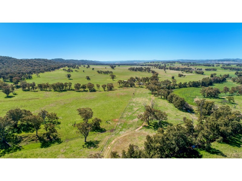 678 Blathery Creek Road Neurea via, Wellington NSW 2820