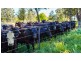 678 Blathery Creek Road Neurea via, Wellington NSW 2820