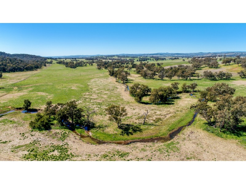 678 Blathery Creek Road Neurea via, Wellington NSW 2820