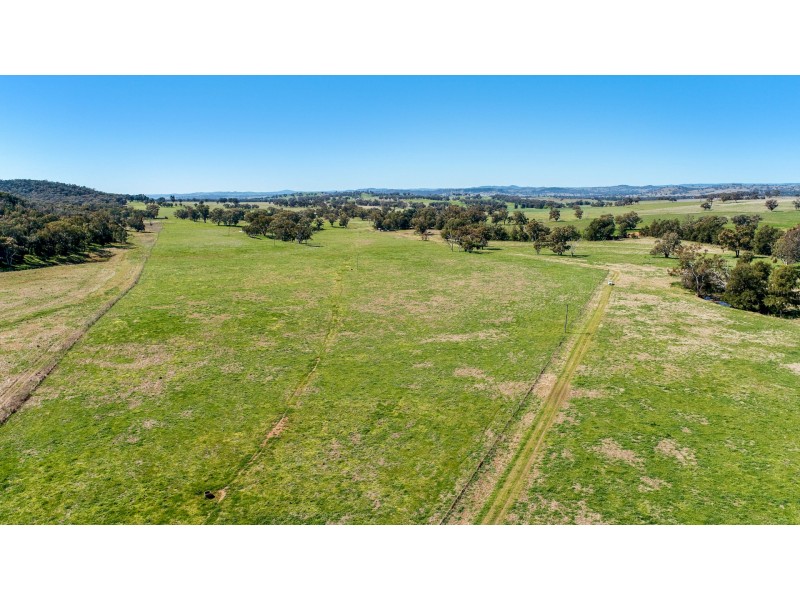 678 Blathery Creek Road Neurea via, Wellington NSW 2820