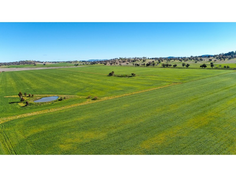 8657 Burrendong Way Apsley via, Wellington NSW 2820