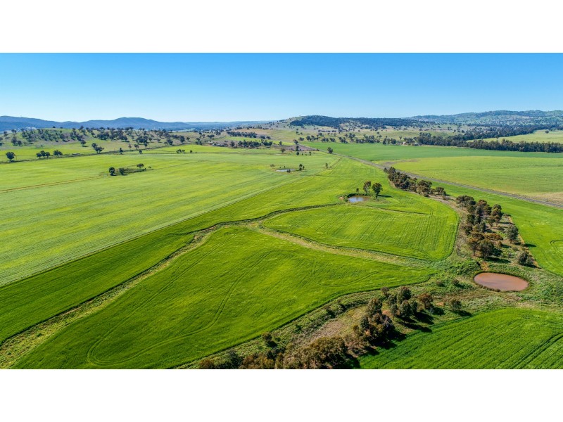 8657 Burrendong Way Apsley via, Wellington NSW 2820