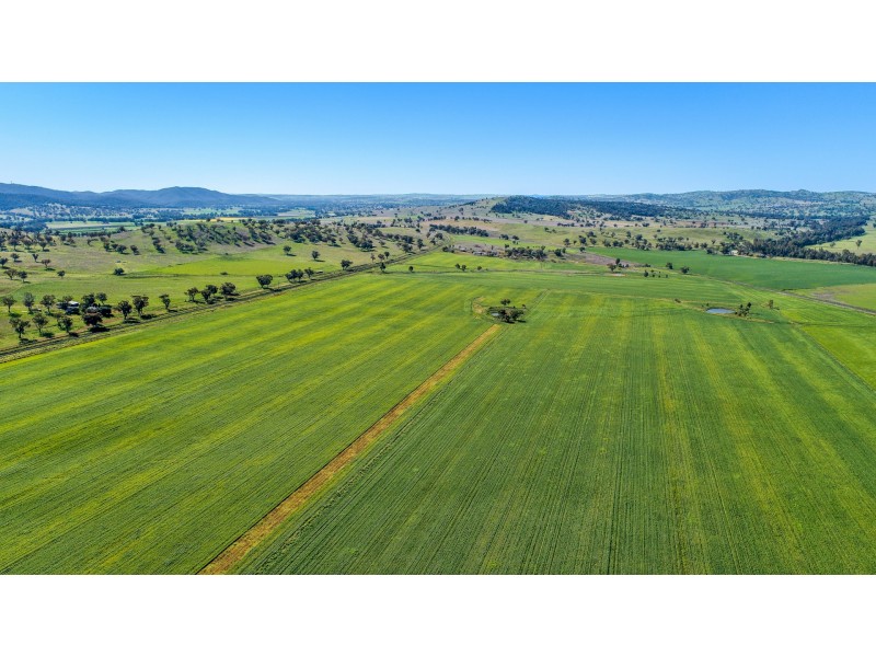 8657 Burrendong Way Apsley via, Wellington NSW 2820