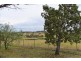 47 Commissioners Lane Stuart Town via, Wellington NSW 2820