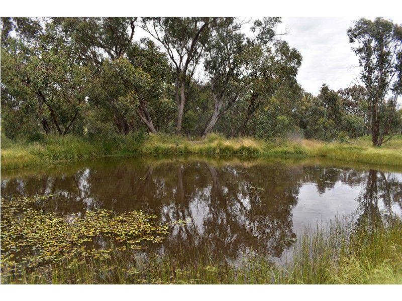 47 Commissioners Lane Stuart Town via, Wellington NSW 2820