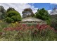 4 Bonada Avenue Mumbil via, Wellington NSW 2820