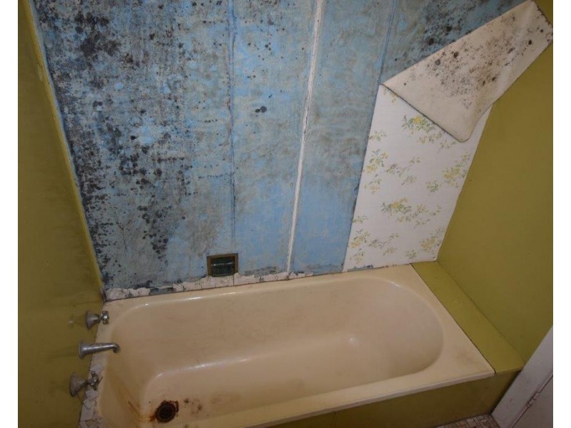 117 GISBORNE STREET, Wellington NSW 2820