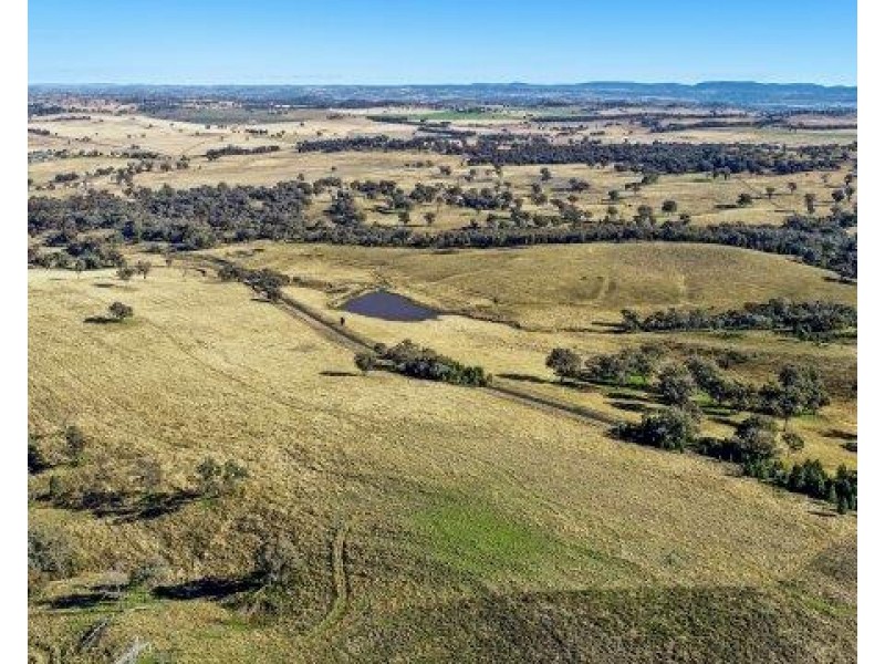 132 The Circle Road, Wellington NSW 2820