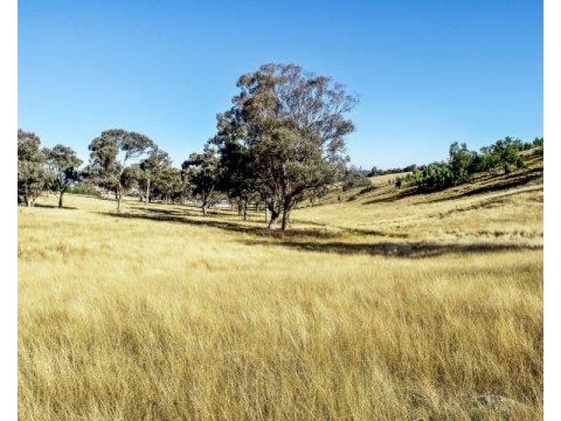 132 The Circle Road, Wellington NSW 2820