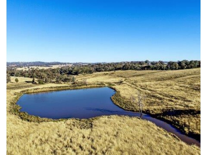132 The Circle Road, Wellington NSW 2820