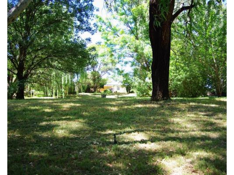 50 Gobolion Street, Wellington NSW 2820