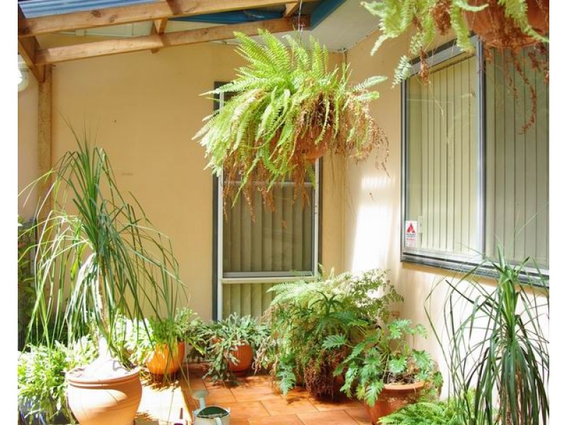 50 Gobolion Street, Wellington NSW 2820