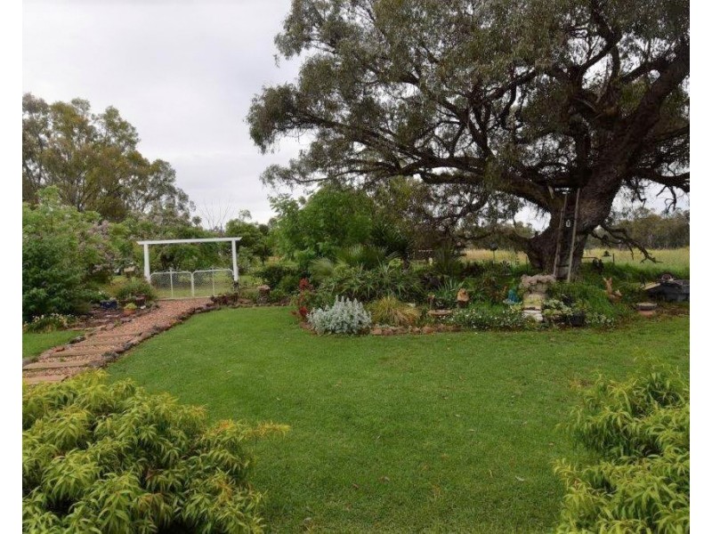 175R Nubingerie Road Benolong via, Wellington NSW 2820