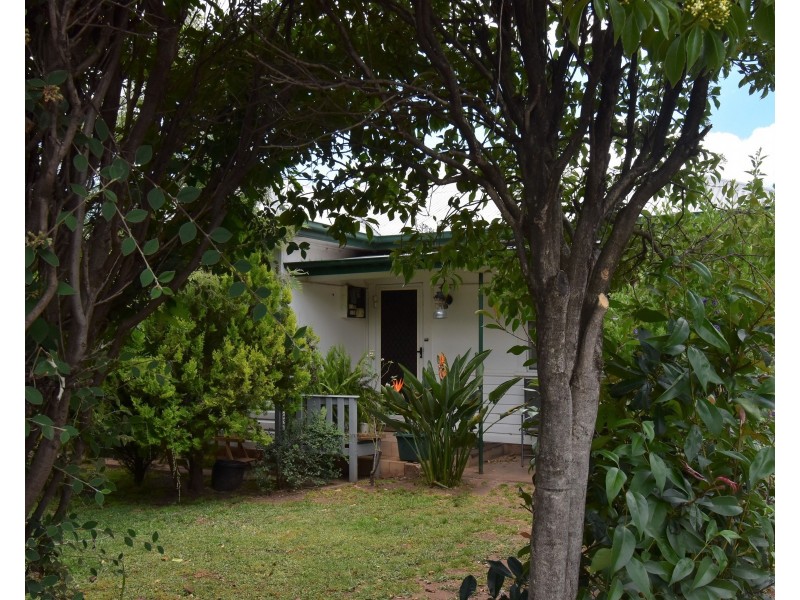 17 Parkes Street, Wellington NSW 2820