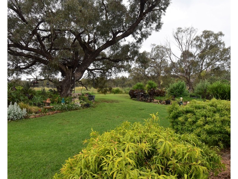 175R Nubingerie Road Benolong via, Dubbo NSW 2830