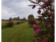 175R Nubingerie Road Benolong via, Dubbo NSW 2830