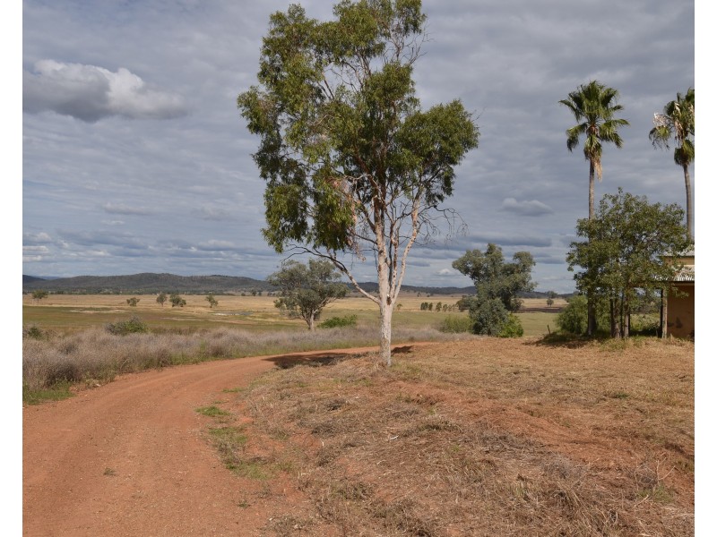 233 Bestwicks Lane Suntop via, Wellington NSW 2820