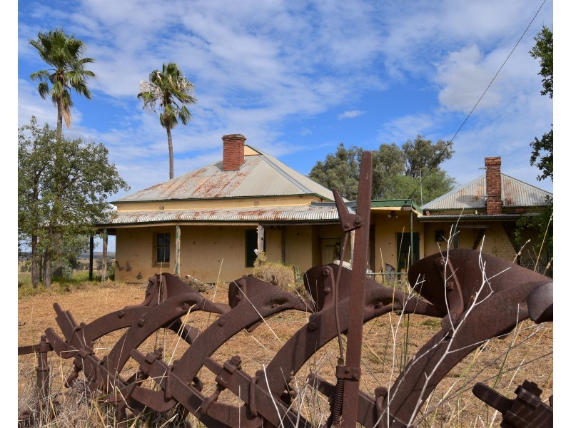 233 Bestwicks Lane Suntop via, Wellington NSW 2820