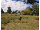 3950 Renshaw Mcgirr Way, North Yeoval NSW 2868