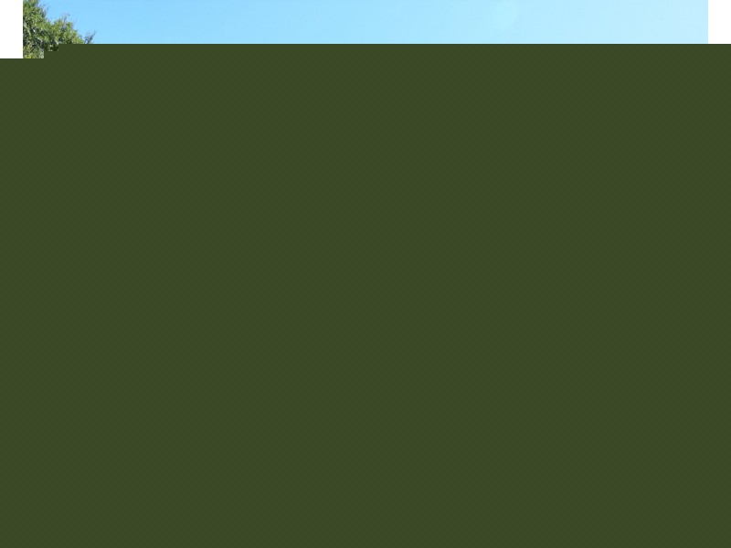 3A Charles Street, Wellington NSW 2820