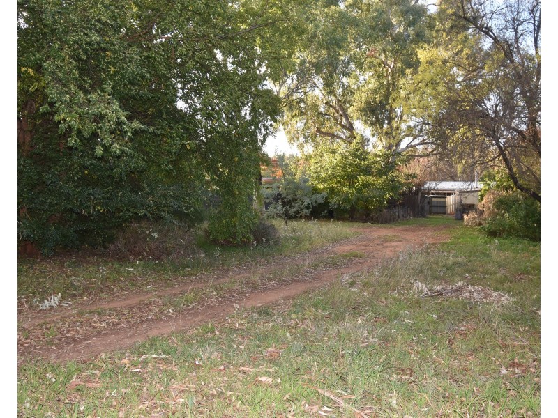 113 Gobolion Street, Wellington NSW 2820