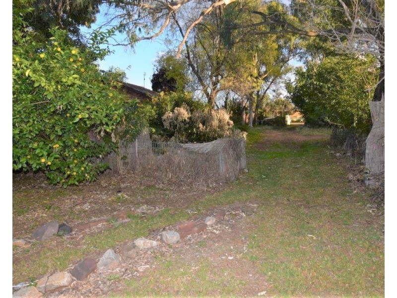 113 Gobolion Street, Wellington NSW 2820