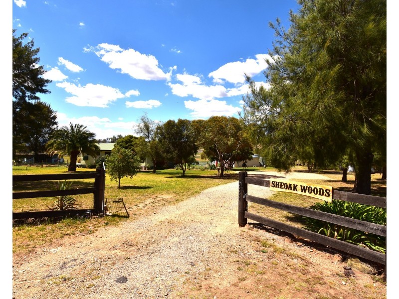 75 Tarrawingee Road Mumbil via, Wellington NSW 2820