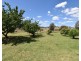 75 Tarrawingee Road Mumbil via, Wellington NSW 2820