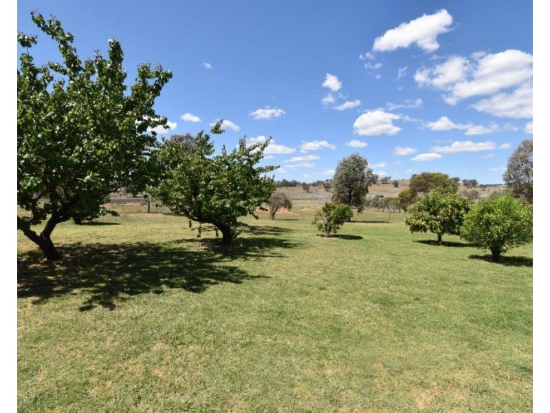 75 Tarrawingee Road Mumbil via, Wellington NSW 2820