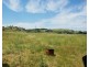 26 Barton Street, Wellington NSW 2820