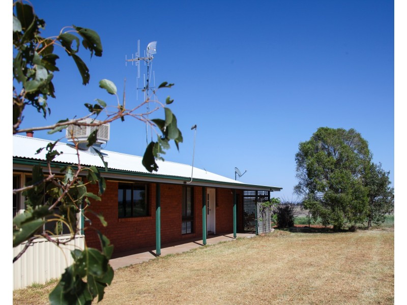 229 Combo Road, Maryvale NSW 2820