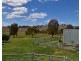 75 Tarrawingee Road Mumbil via, Wellington NSW 2820