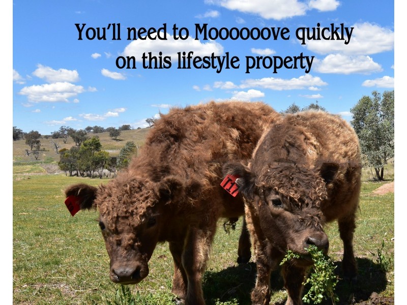 75 Tarrawingee Road Mumbil via, Wellington NSW 2820