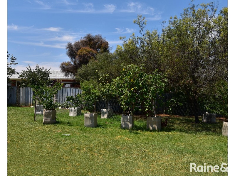 103 Gisborne Street, Wellington NSW 2820