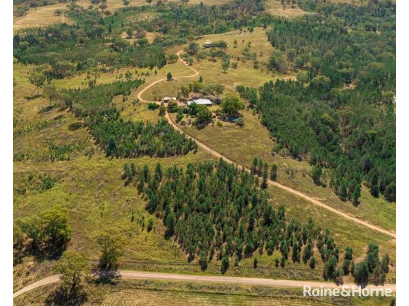 334 Tara Road Mumbil via, Wellington NSW 2820