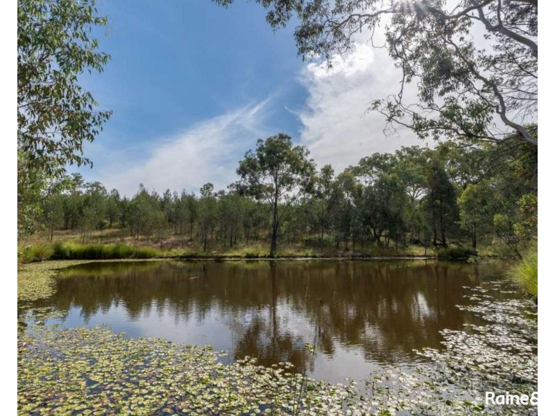 334 Tara Road Mumbil via, Wellington NSW 2820