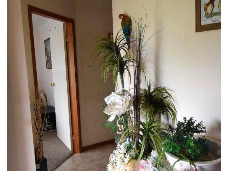 69 Warne Street, Wellington NSW 2820