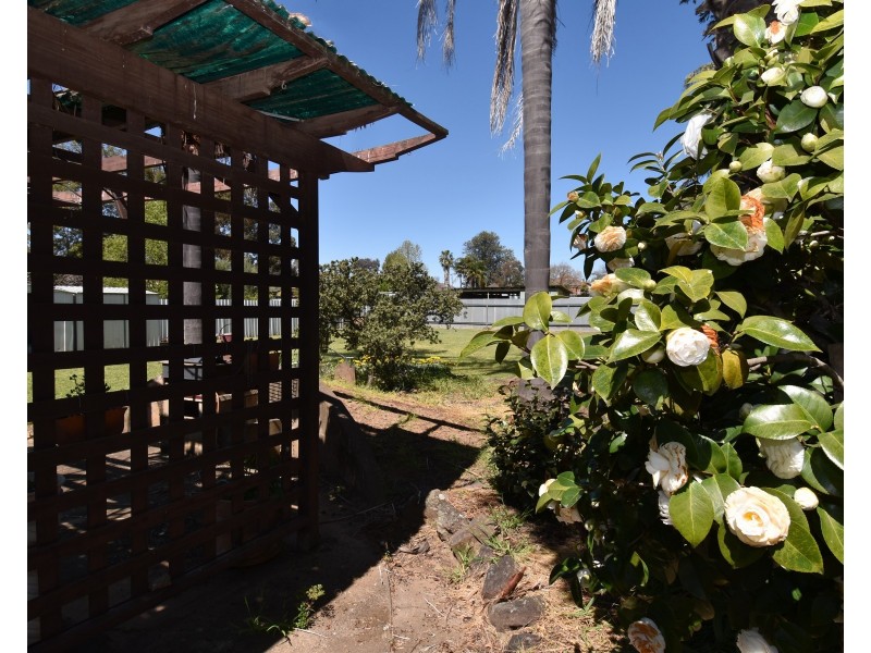 77 Gobolion Street, Wellington NSW 2820