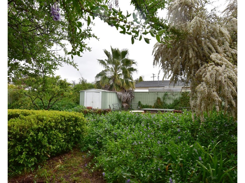 85 Marsh Street, Wellington NSW 2820