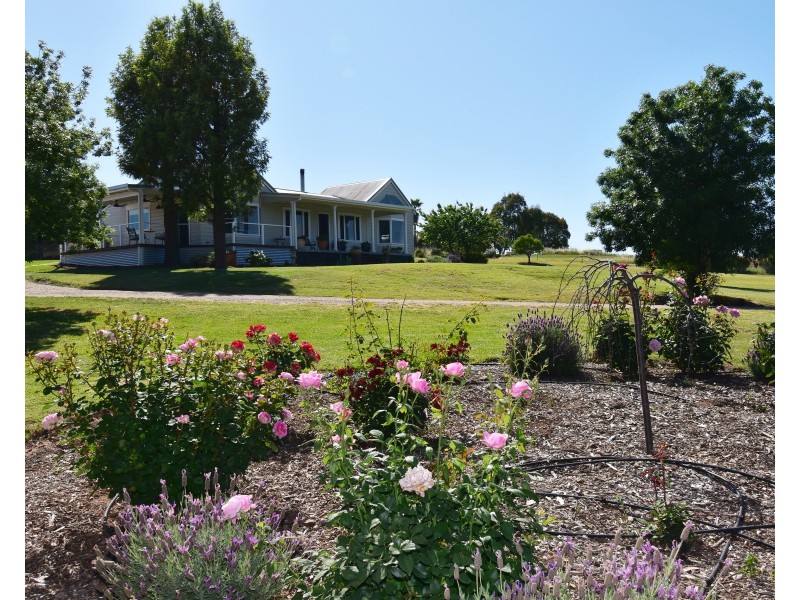 7 Pindari Grove Montefiores via, Wellington NSW 2820